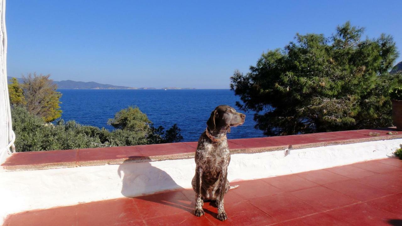 Vila Tramontana Hydra  Exteriér fotografie